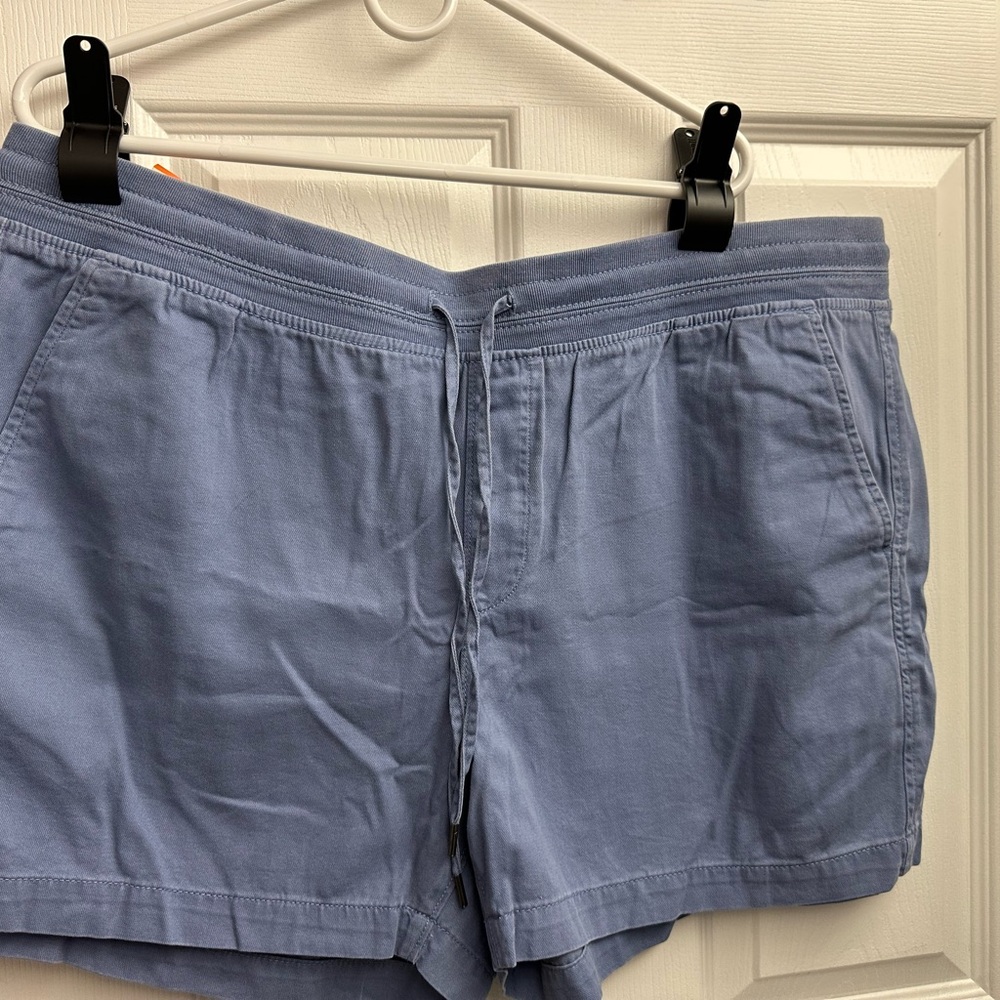 Orvis Blue Casual Shorts